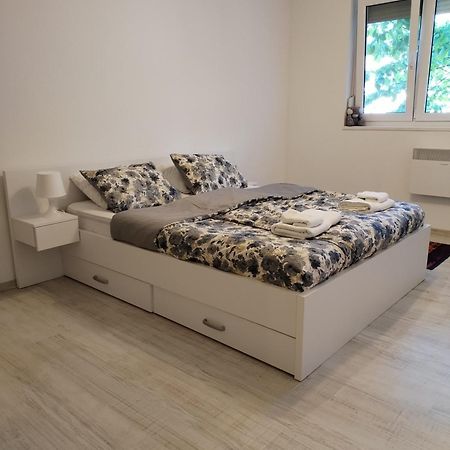 Apartman Milica Vrsac Ngoại thất bức ảnh