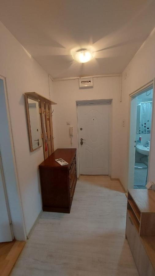 Apartman Milica Vrsac Ngoại thất bức ảnh