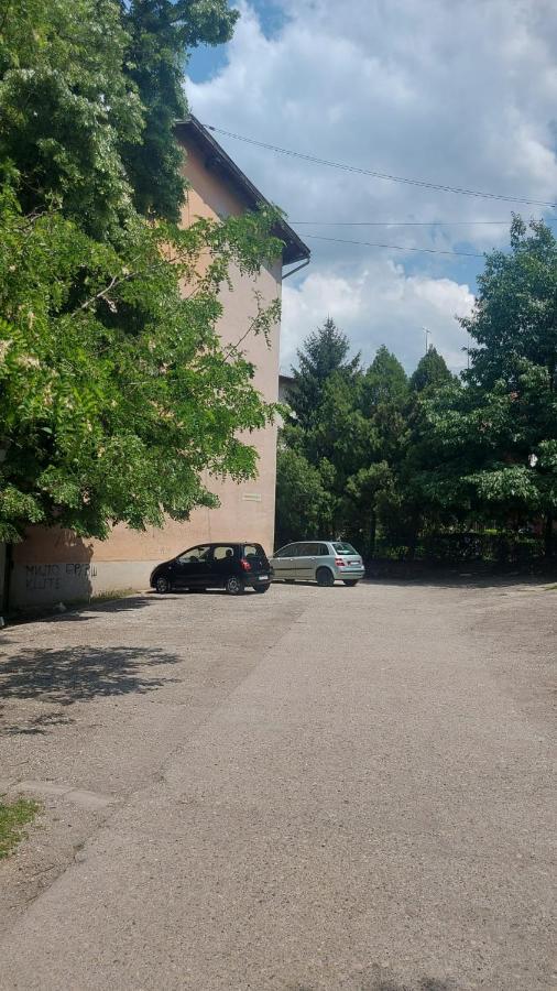 Apartman Milica Vrsac Ngoại thất bức ảnh