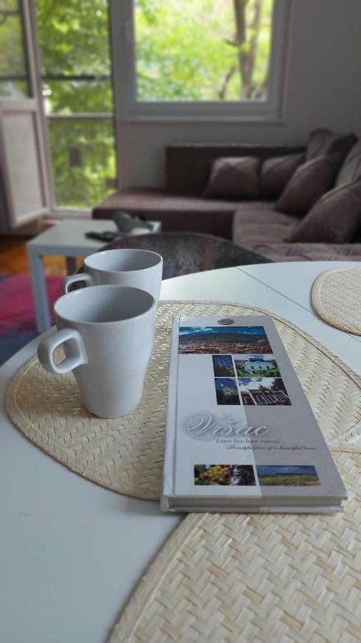 Apartman Milica Vrsac Ngoại thất bức ảnh
