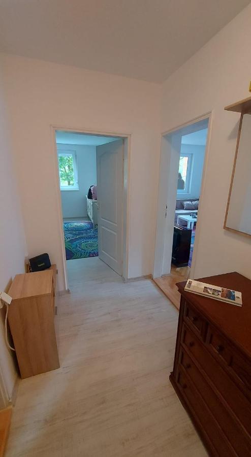 Apartman Milica Vrsac Ngoại thất bức ảnh