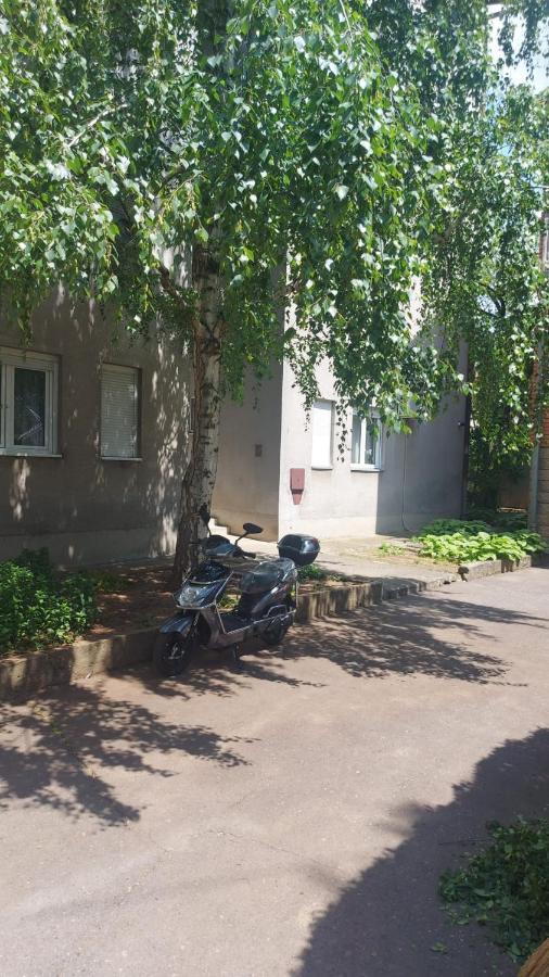 Apartman Milica Vrsac Ngoại thất bức ảnh