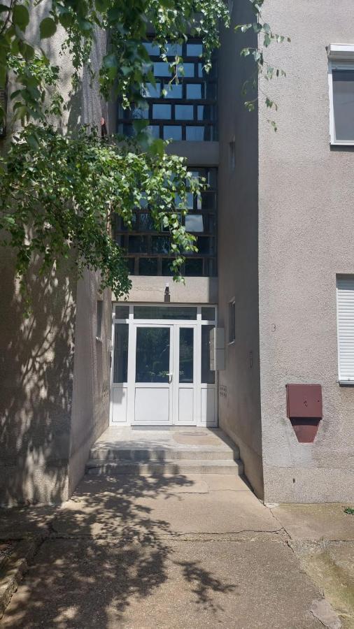 Apartman Milica Vrsac Ngoại thất bức ảnh