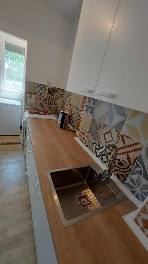 Apartman Milica Vrsac Ngoại thất bức ảnh