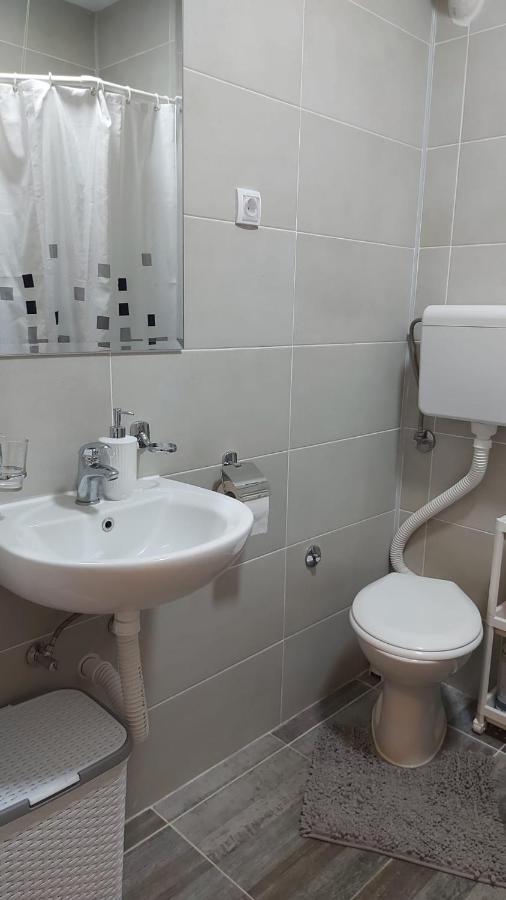 Apartman Milica Vrsac Ngoại thất bức ảnh