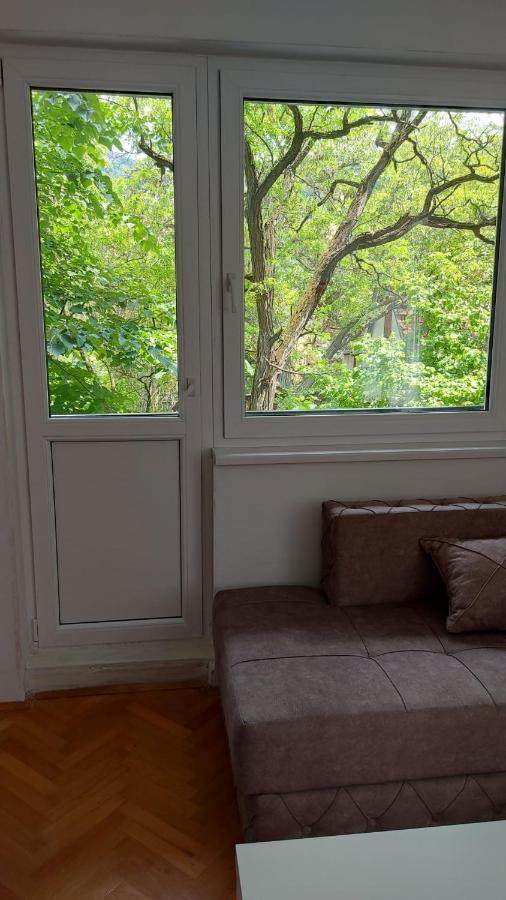 Apartman Milica Vrsac Ngoại thất bức ảnh