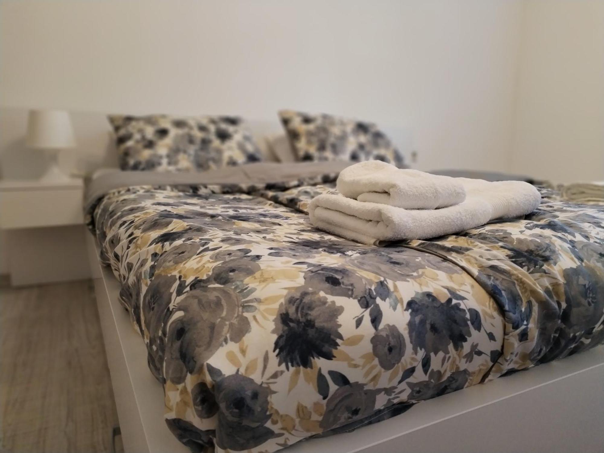 Apartman Milica Vrsac Ngoại thất bức ảnh